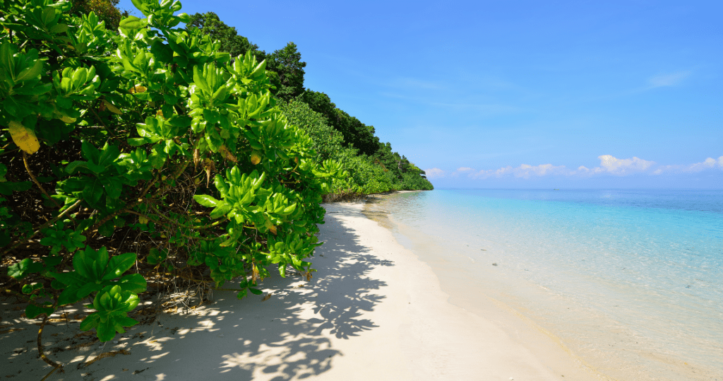 Andaman and Nicobar Islands